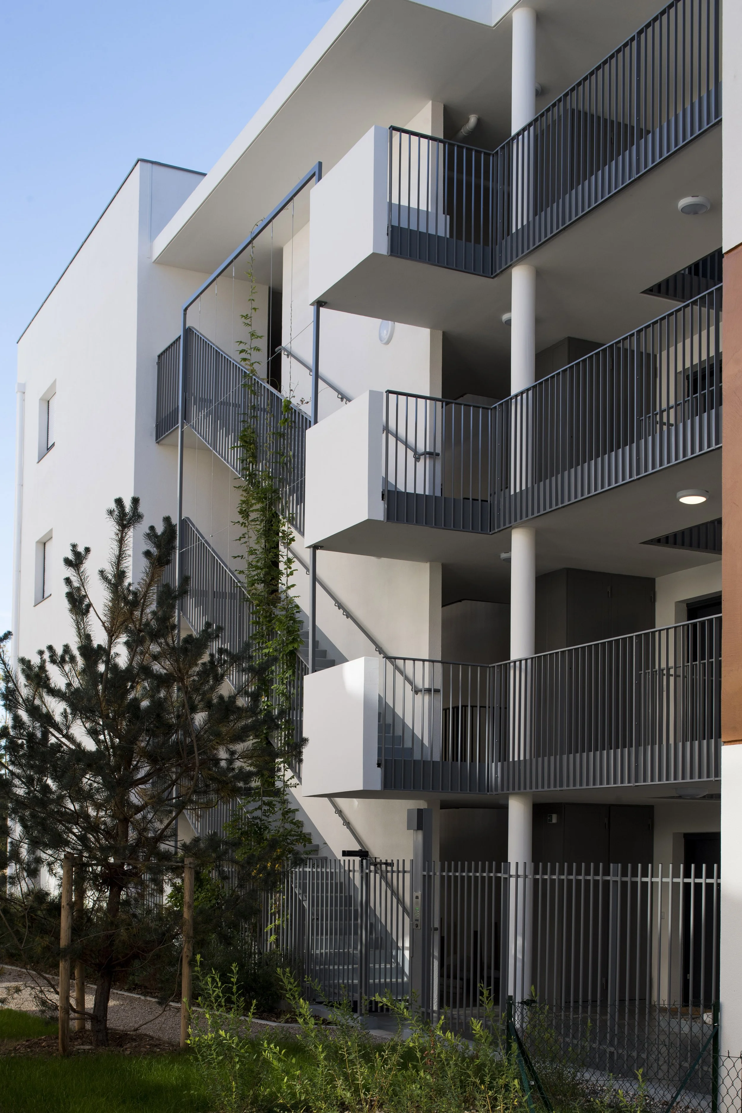 Bâtiment moderne avec balcons en rez-de-chaussée, entouré d'une clôture en métal, avec un arbre et des plantes au premier plan.