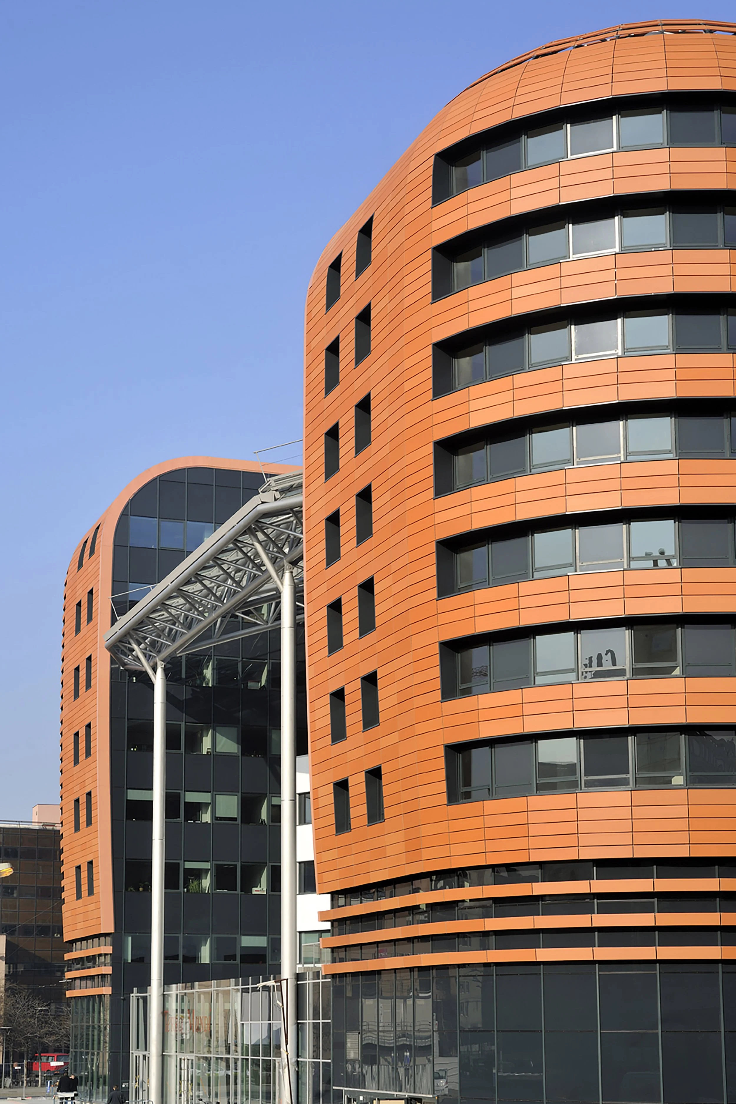 opaclyon-06.jpg