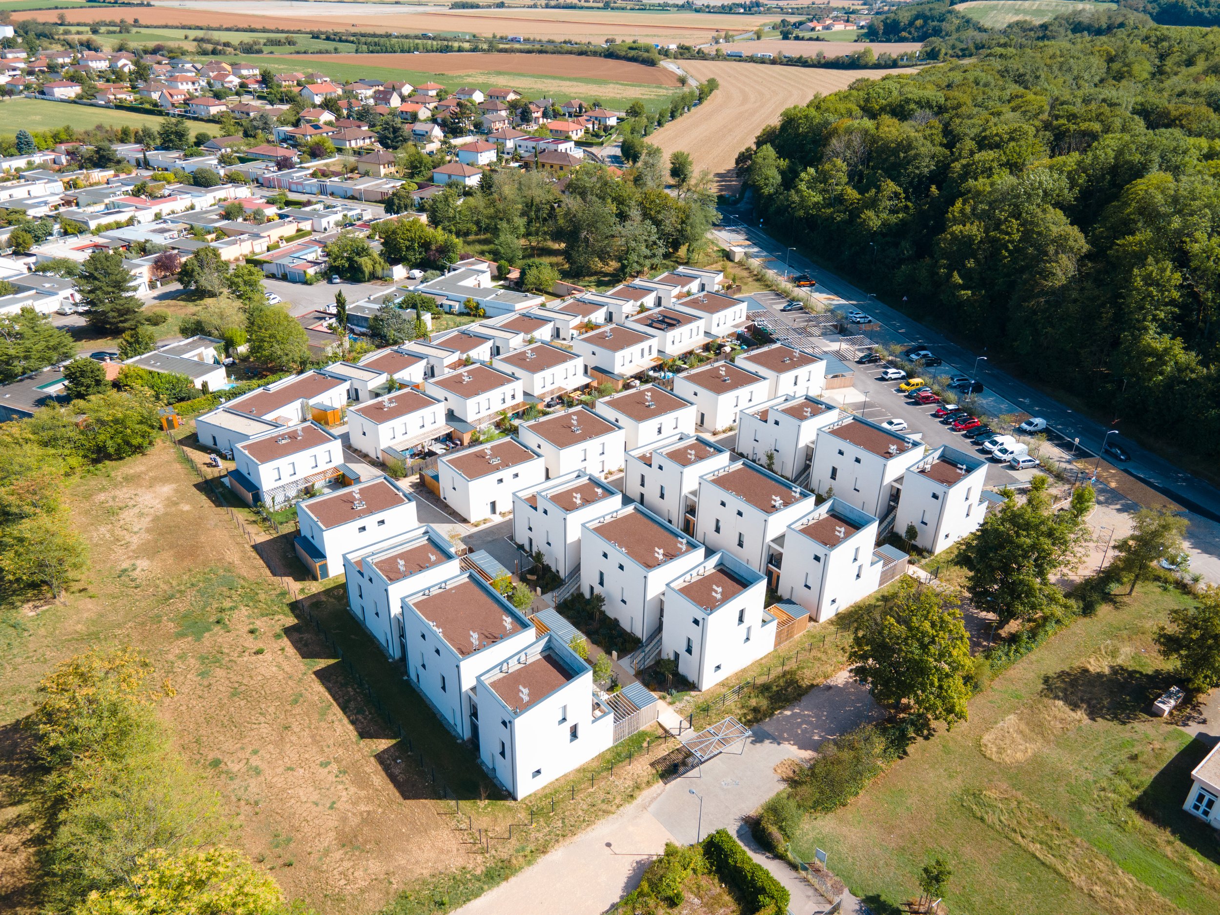 DJI_0107-1.jpg