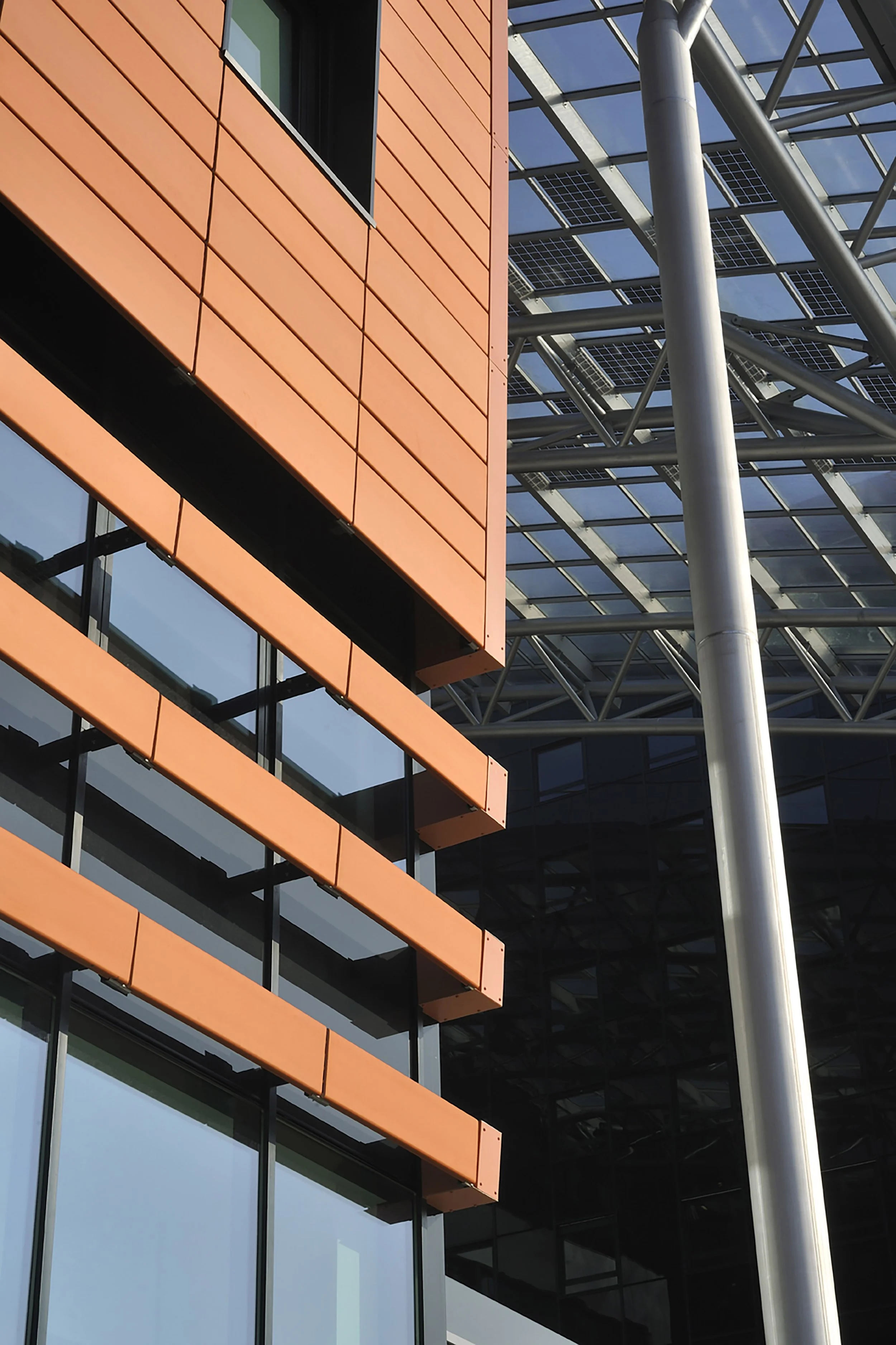opaclyon-12.jpg