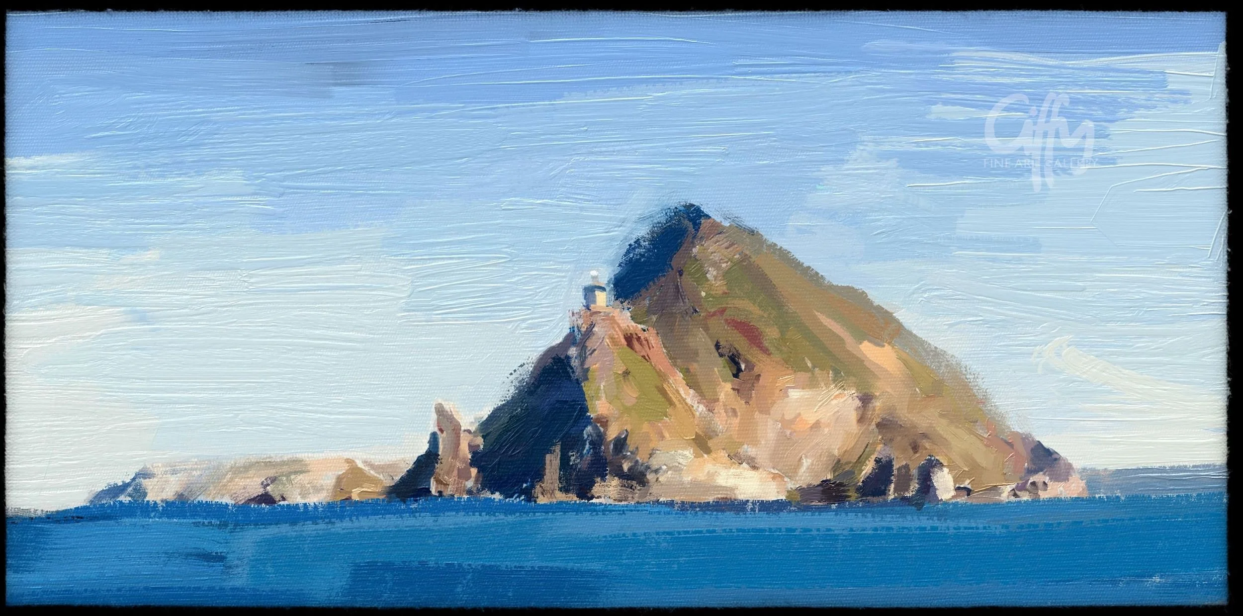 Cape Point rough.jpg