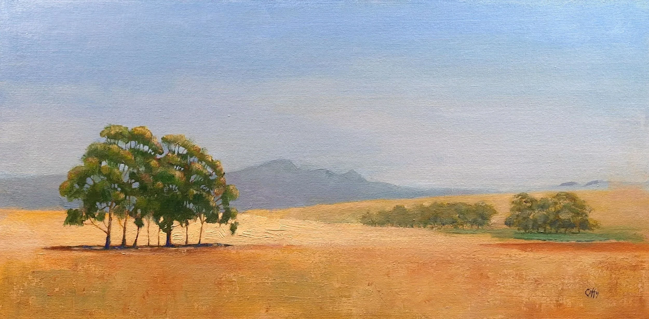 oil painting of gum trees in the Swartland