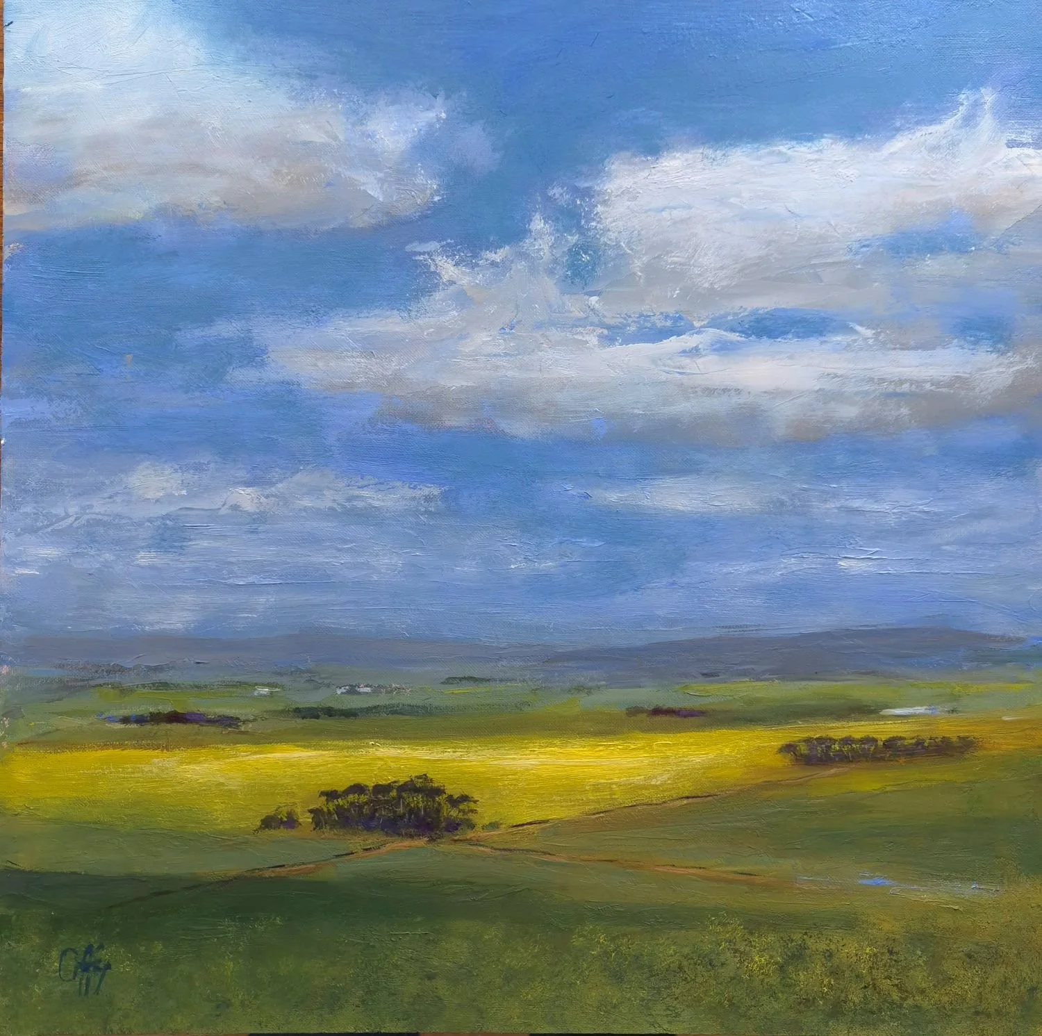 oil painting of the Overberg under a winter sky