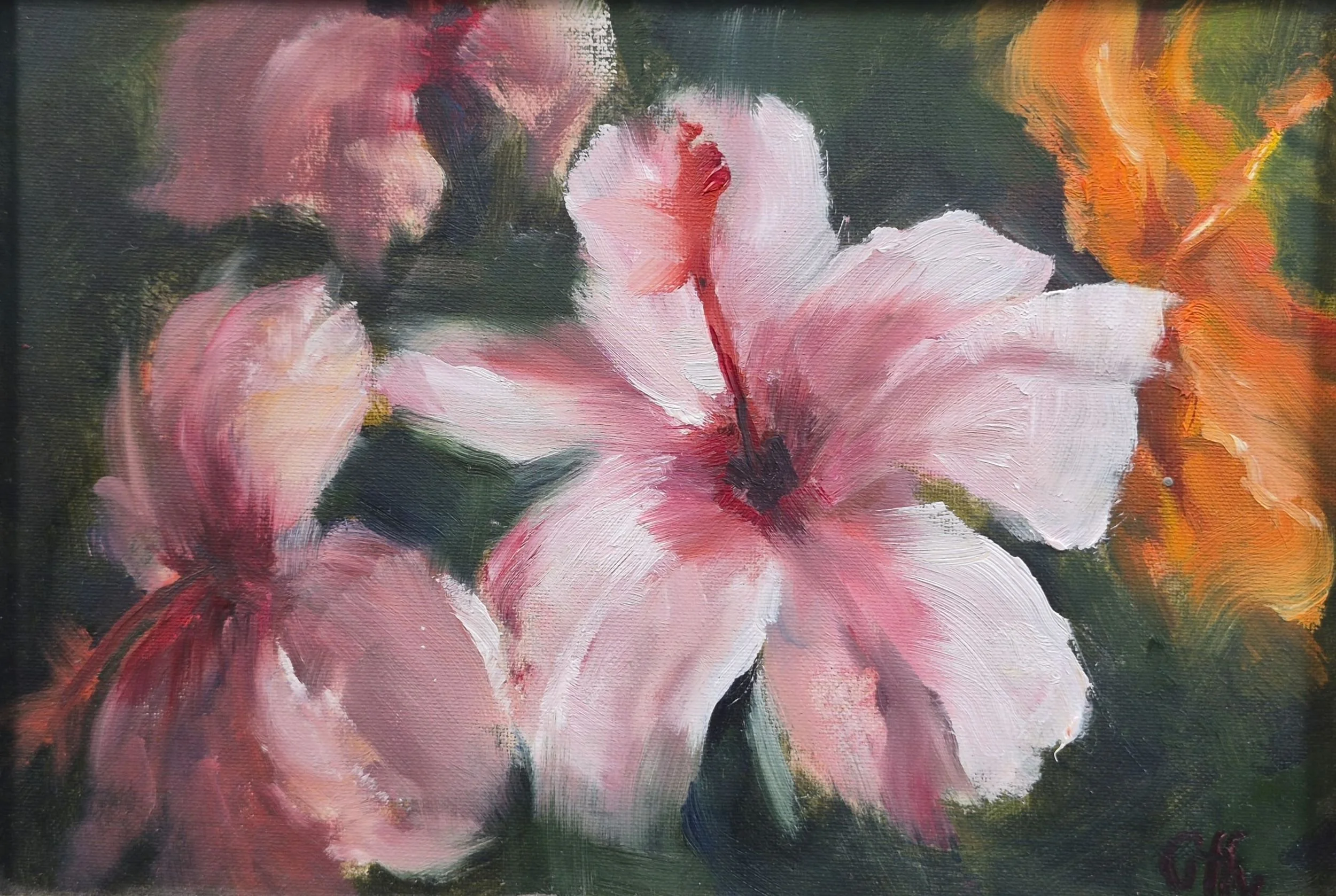 oil painting of pink Hibiscus