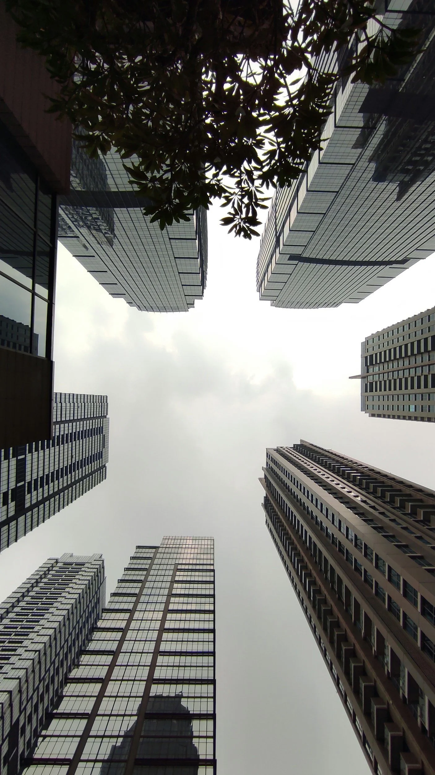 Looking up at tall modern skyscrapers with glass facades in a city, with clouds overhead and some trees at the top of the image.