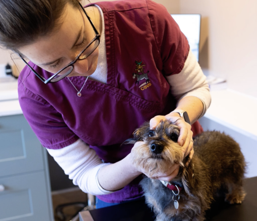Animal Behaviour - 13 June, CB22 5DG
