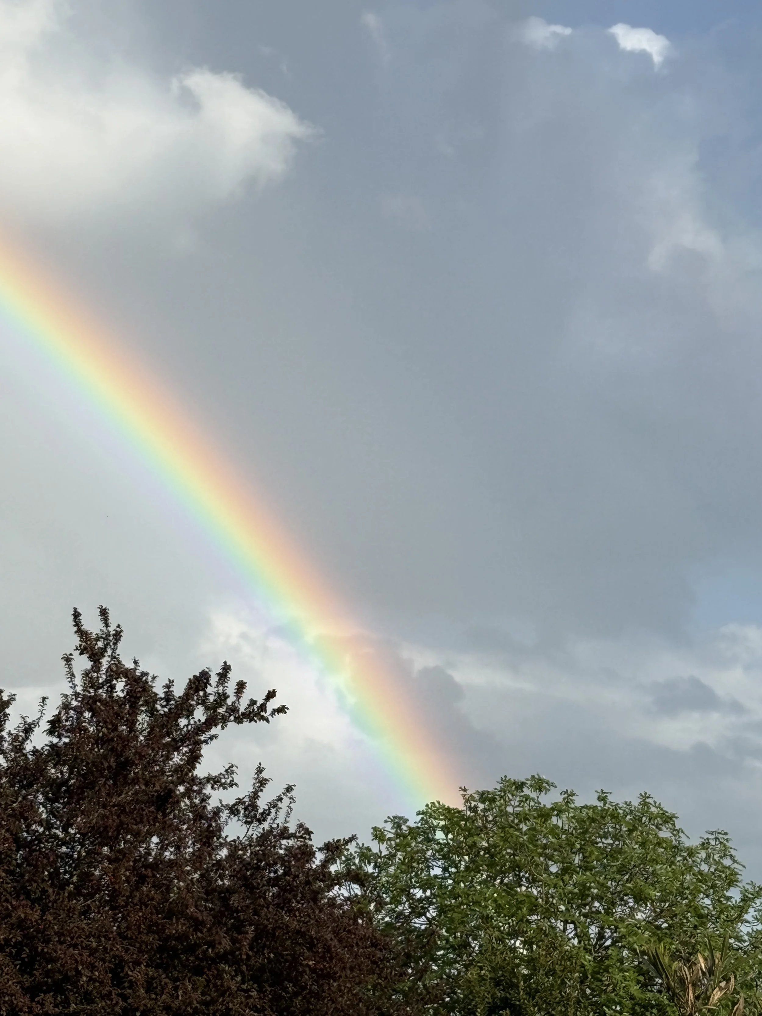 Les fées arc-en-ciel