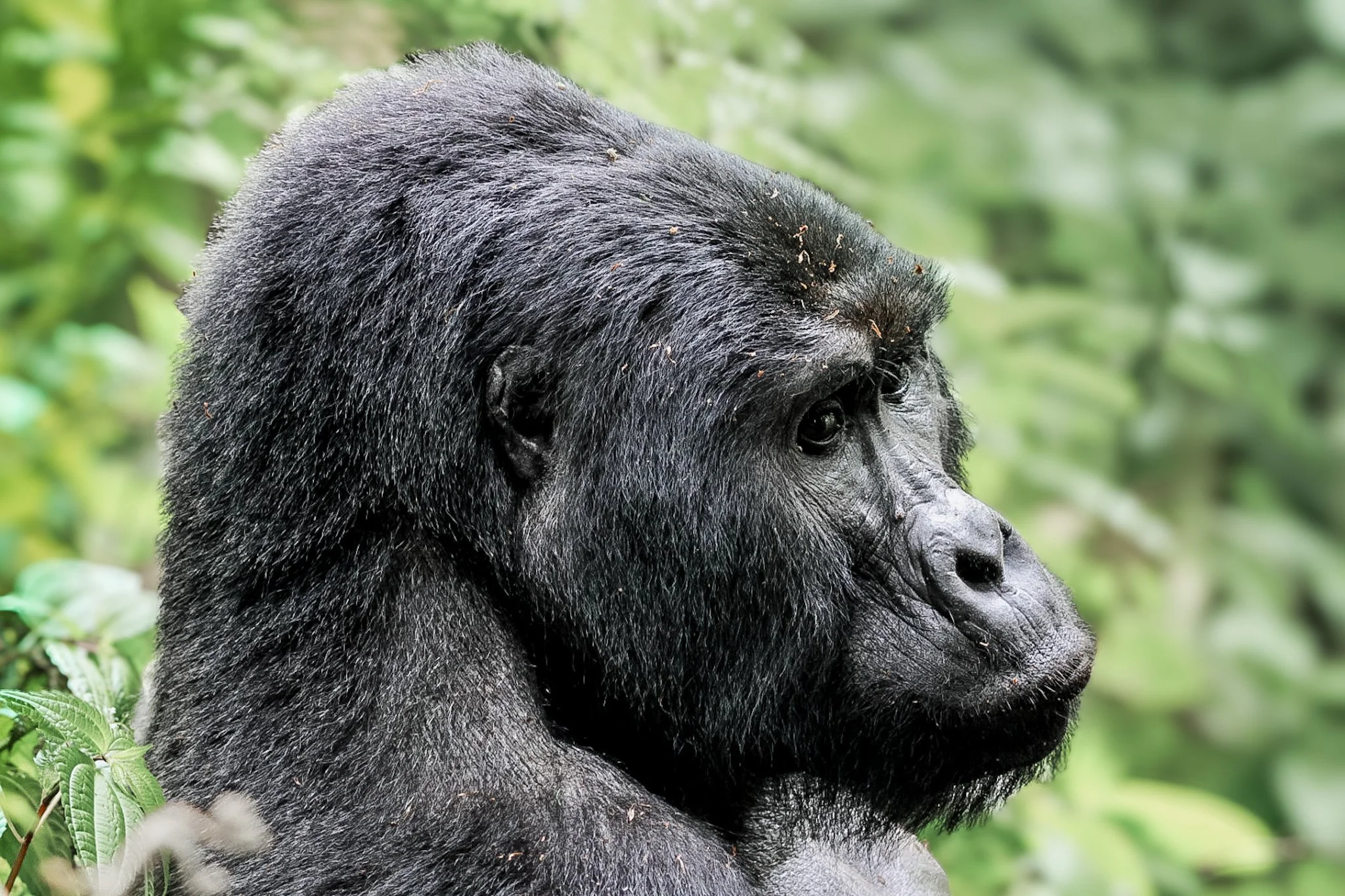 Die Perle Afrikas: Wie Uganda den Funken meiner Fotografie entfachte und mein Herz veränderte