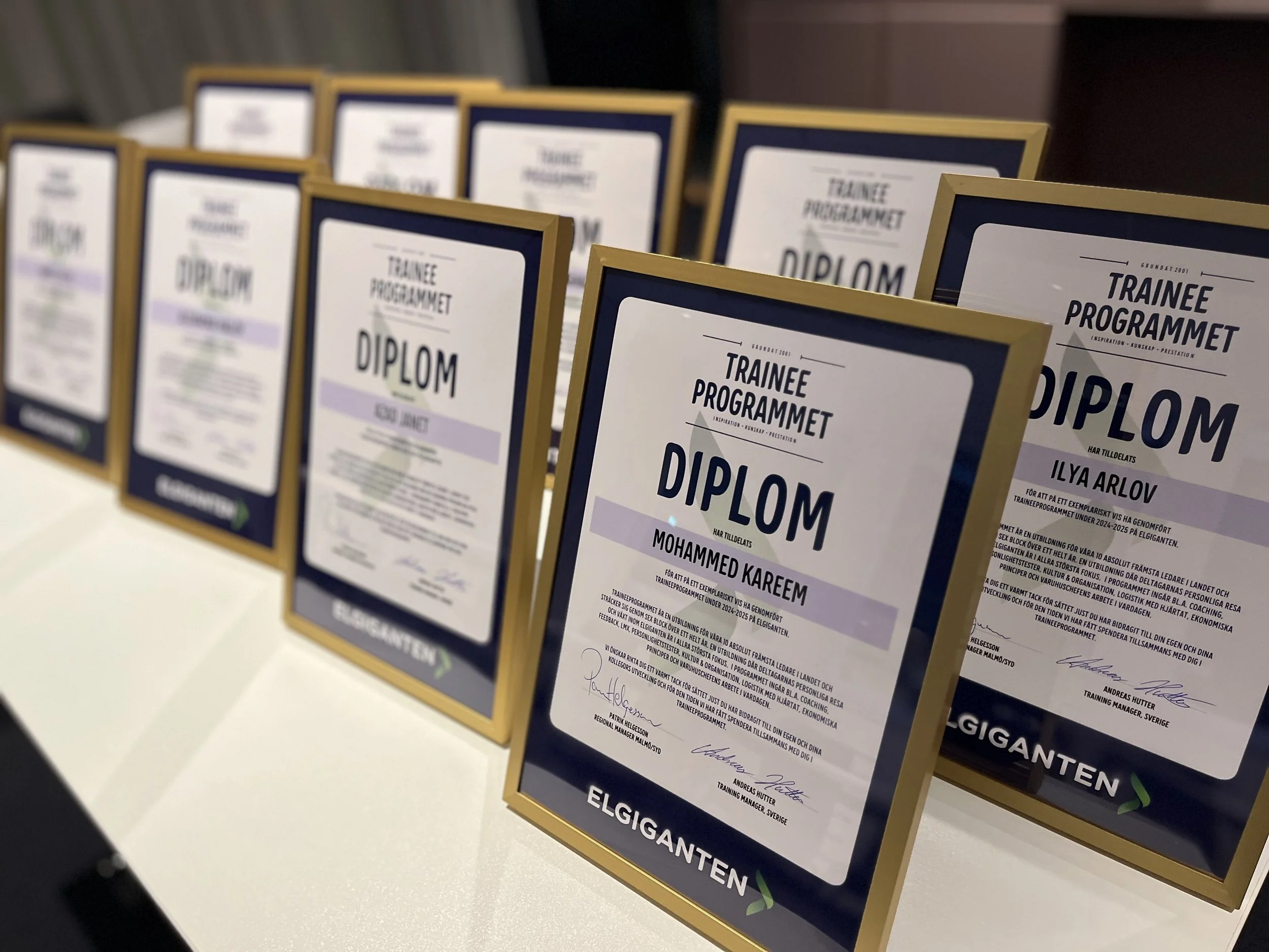 Diplom till deltagare i traineeprogram och ledarskapsutbildningar.