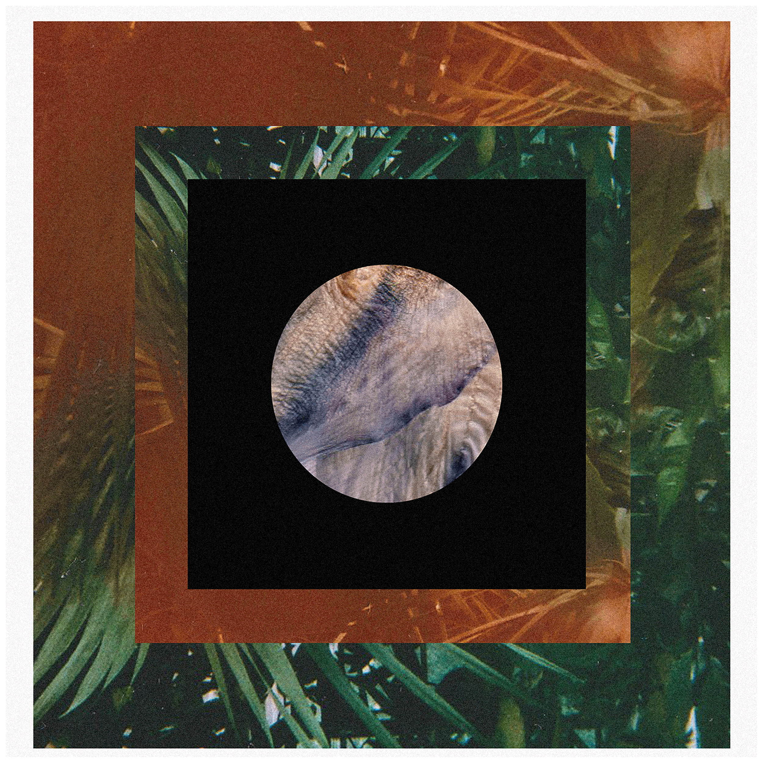 Collage-Moon.gif