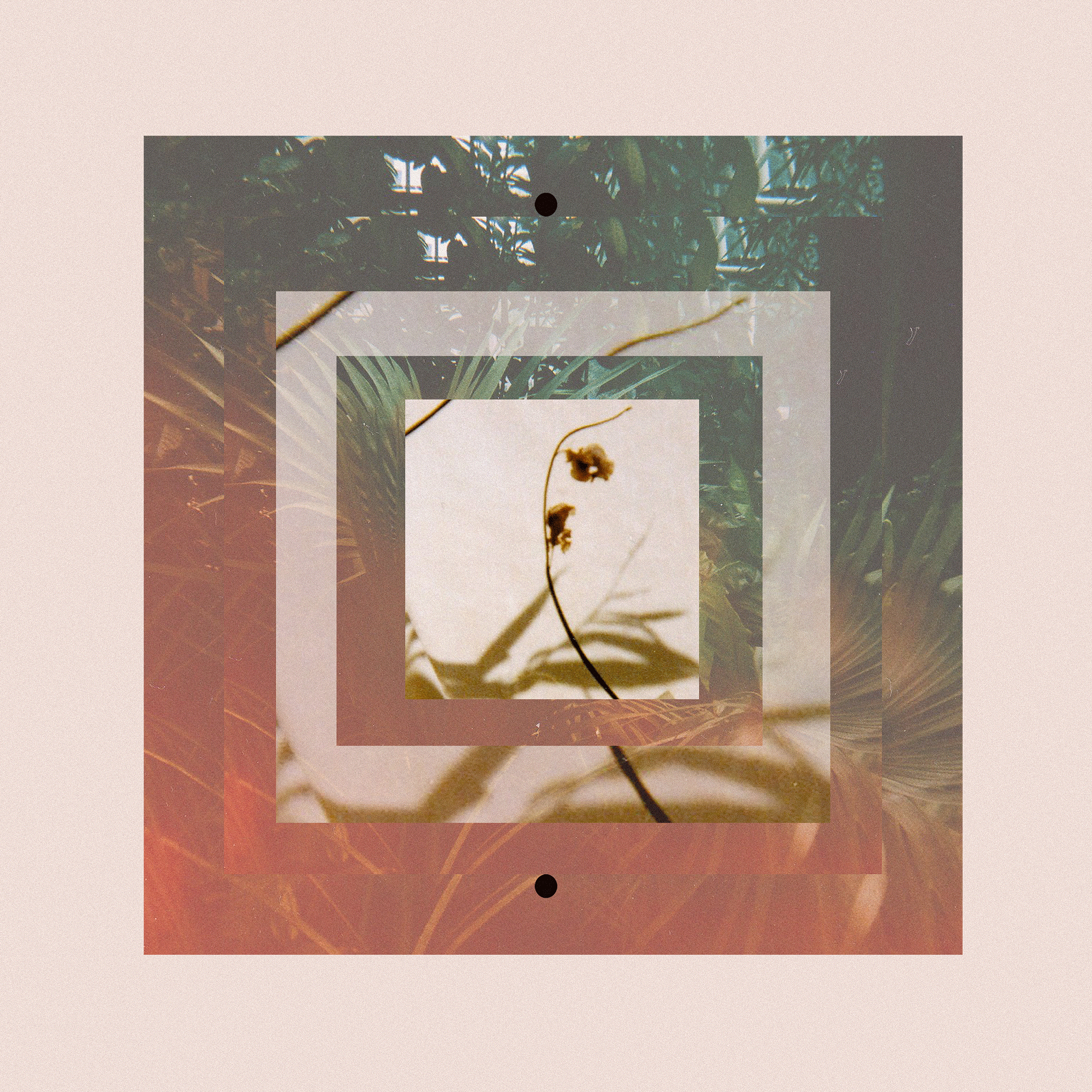 Shadow-Flower.gif