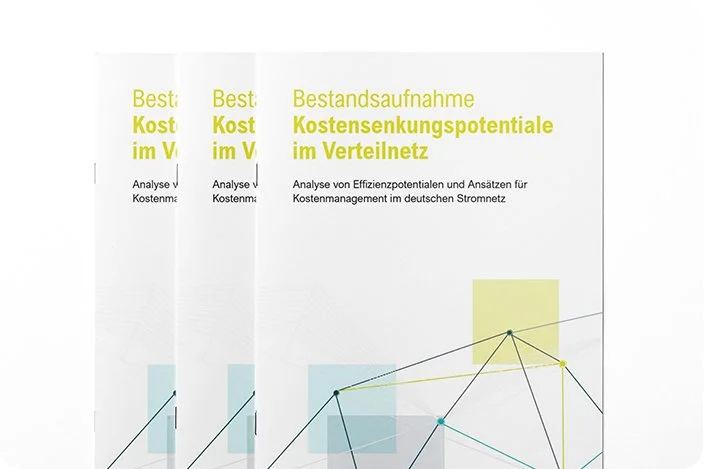Studie 'Kostensenkungspotentiale im Verteilnetz' | Energiewirtschaftliche Zusammenhänge präzise analysiert und fundiert erklärt – für interne Klarheit oder die öffentliche Diskussion.