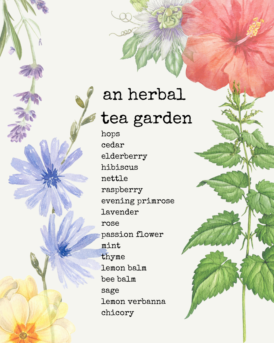 THE TEA PARTY: for the human who loves tea time