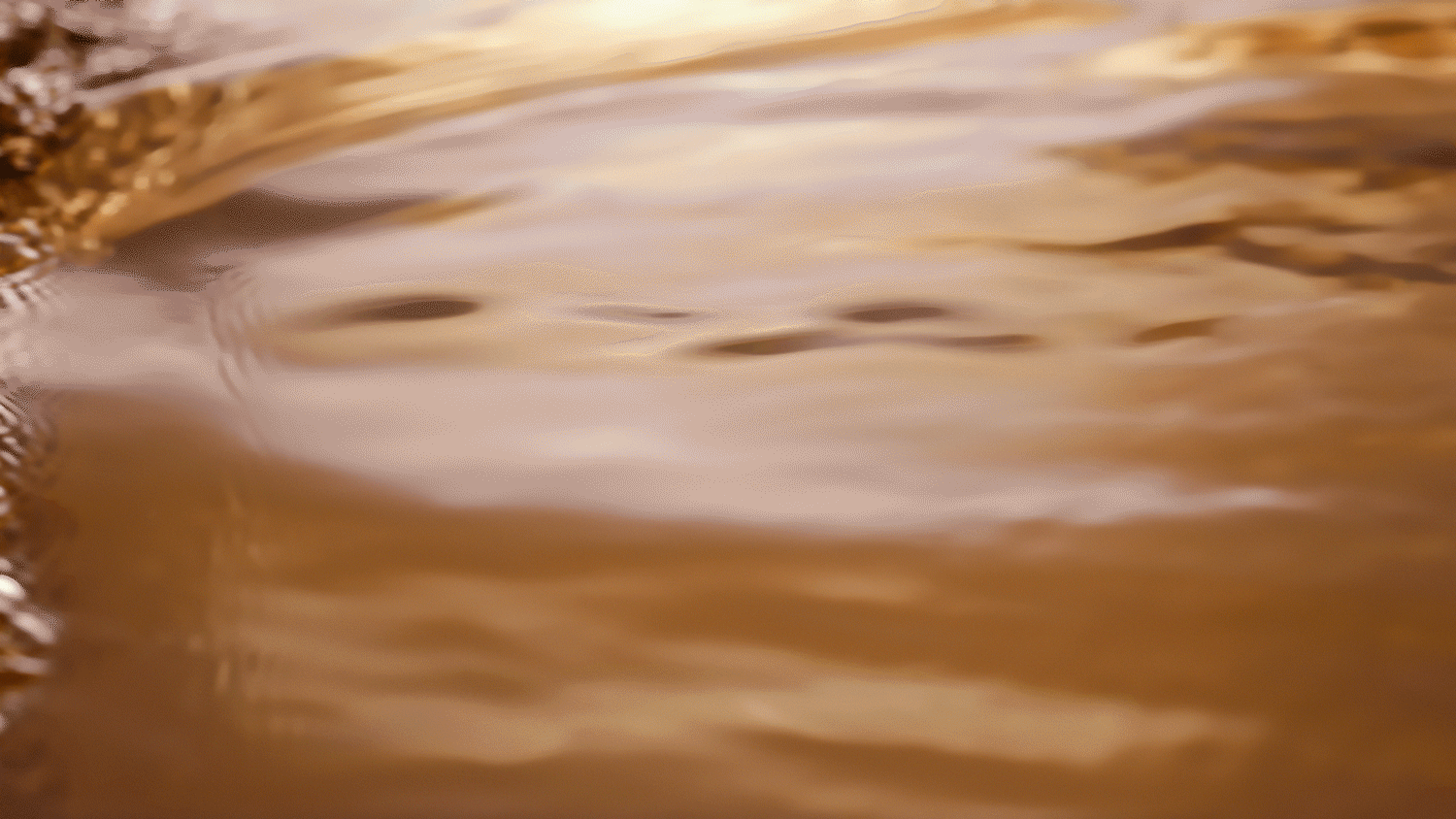 NEWFEMEDP19_Product_Olfactivedigitalmovi_DMI_VideoLandScape_4.gif