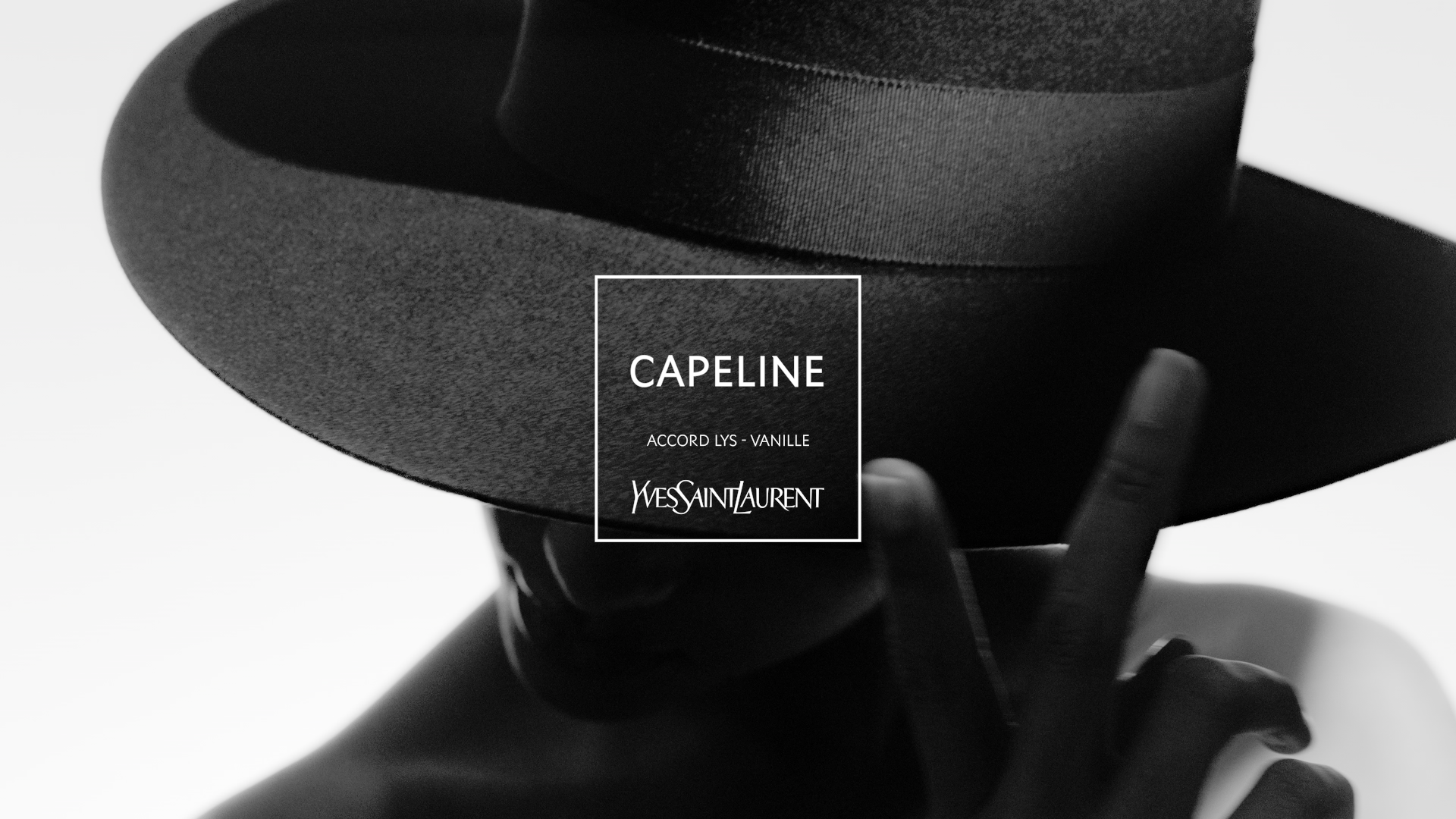 YSL_LVDP_19_still01_inter_16-9.png