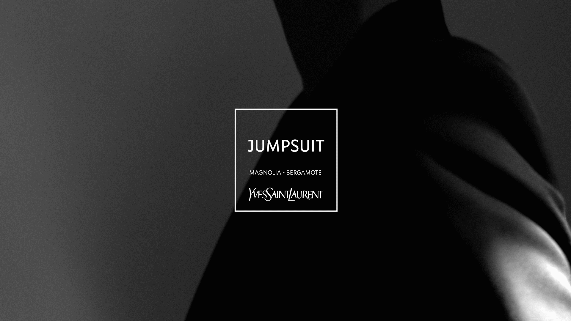 YSL_LVDP_19_gif02_inter_16-9.gif
