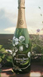 image9.gif