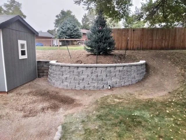 A backyard with a stone retaining wall, two blue spruce trees, a wood shed, and a wooden fence, with grass and dirt areas.