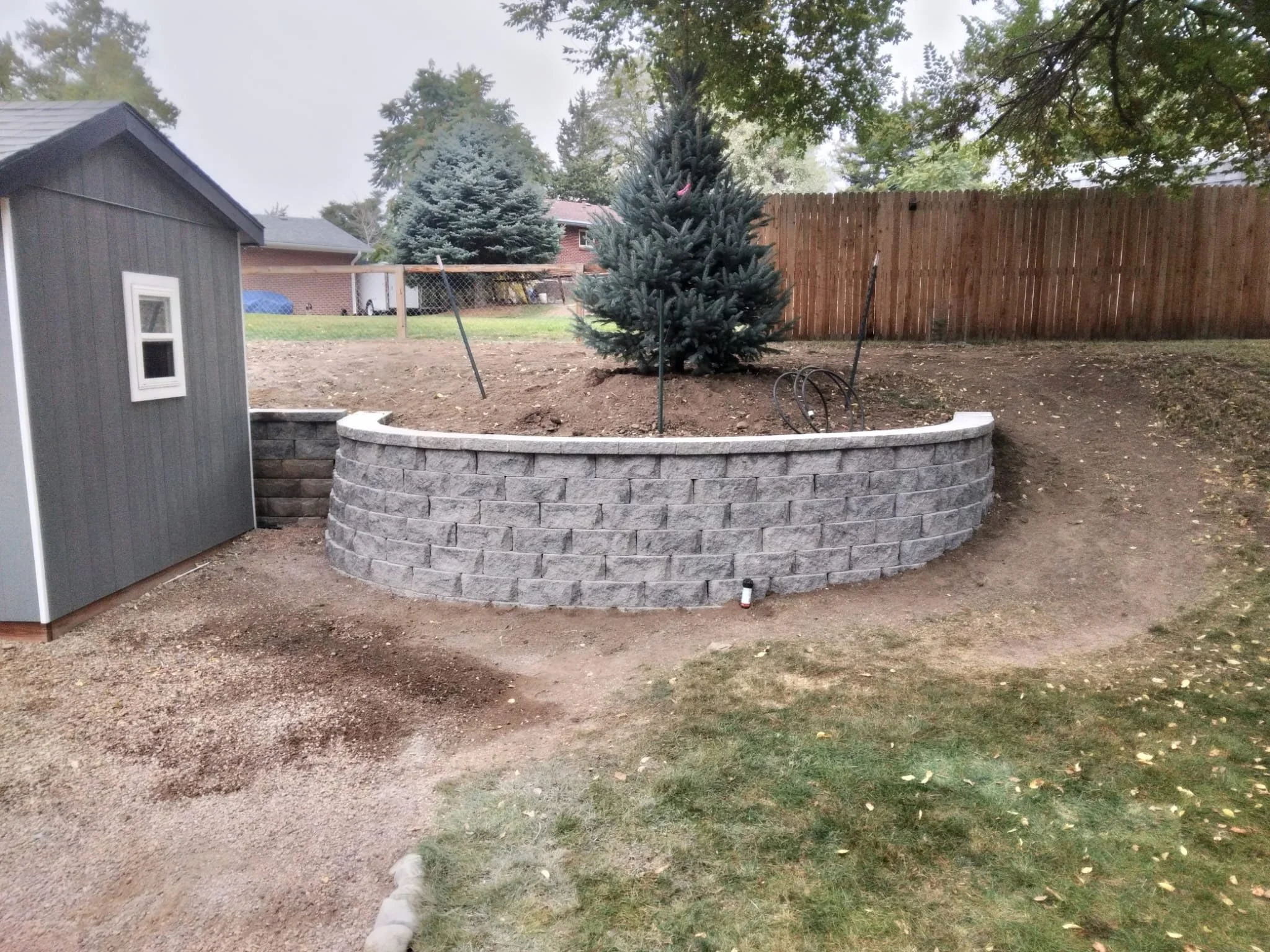 A backyard with a raised circular stone garden bed containing a large evergreen tree. The yard is enclosed by a wooden fence, and a small gray shed with a window is on the left side of the image. There are additional trees and houses in the background, with a cloudy sky overhead.