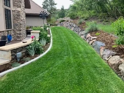 Well-maintained green lawn next to a house with a stone wall and decorative plants.