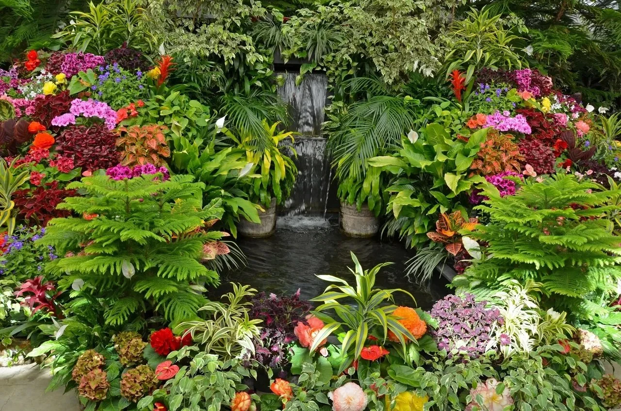 A lush garden with a water fountain surrounded by a variety of colorful flowers and green plants.