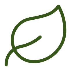 Minimalist green outline of a leaf
