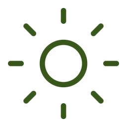 Green sun icon with rays