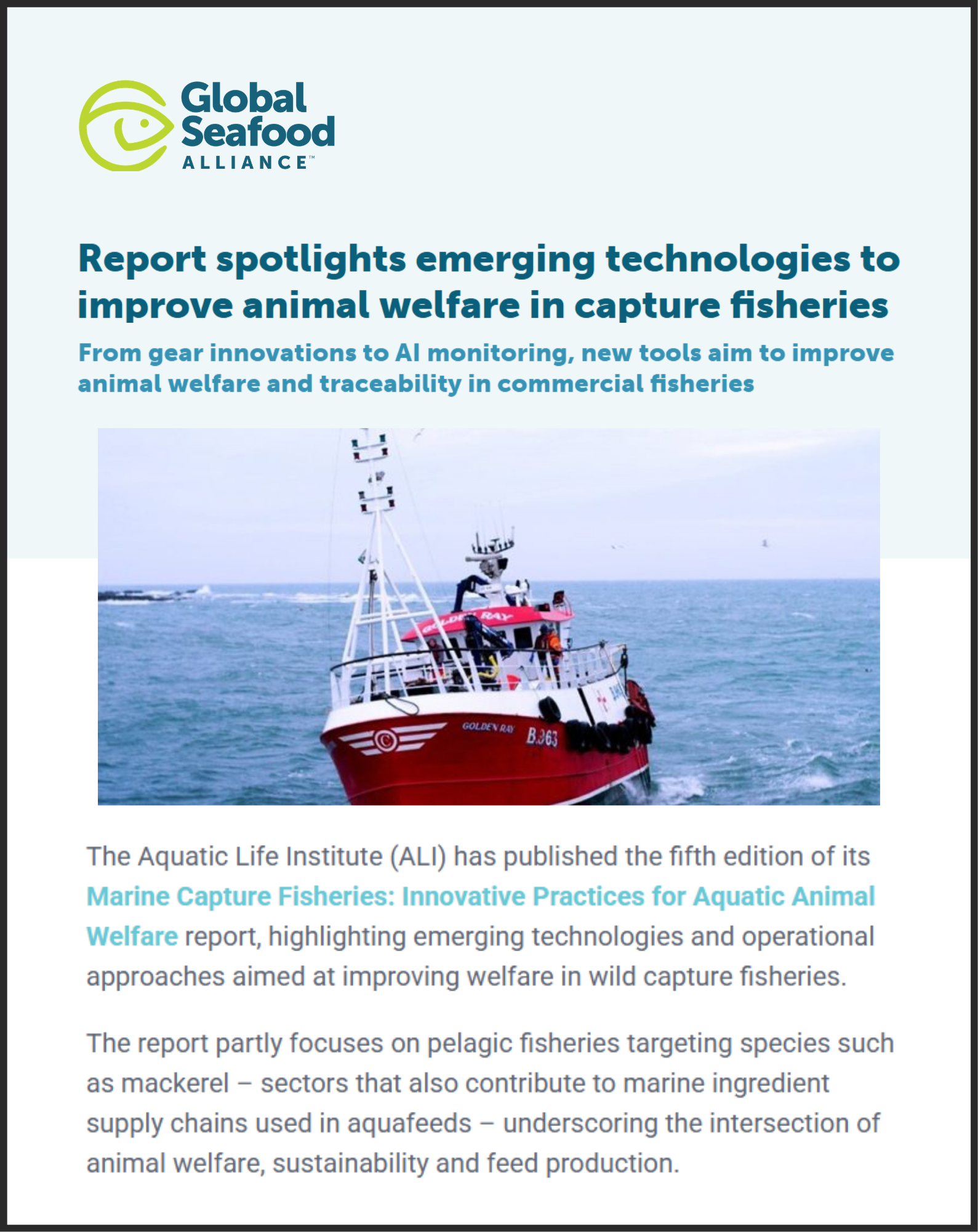 Global Seafood Alliance: Report spotlights emerging technologies to improve animal welfare in capture fisheries