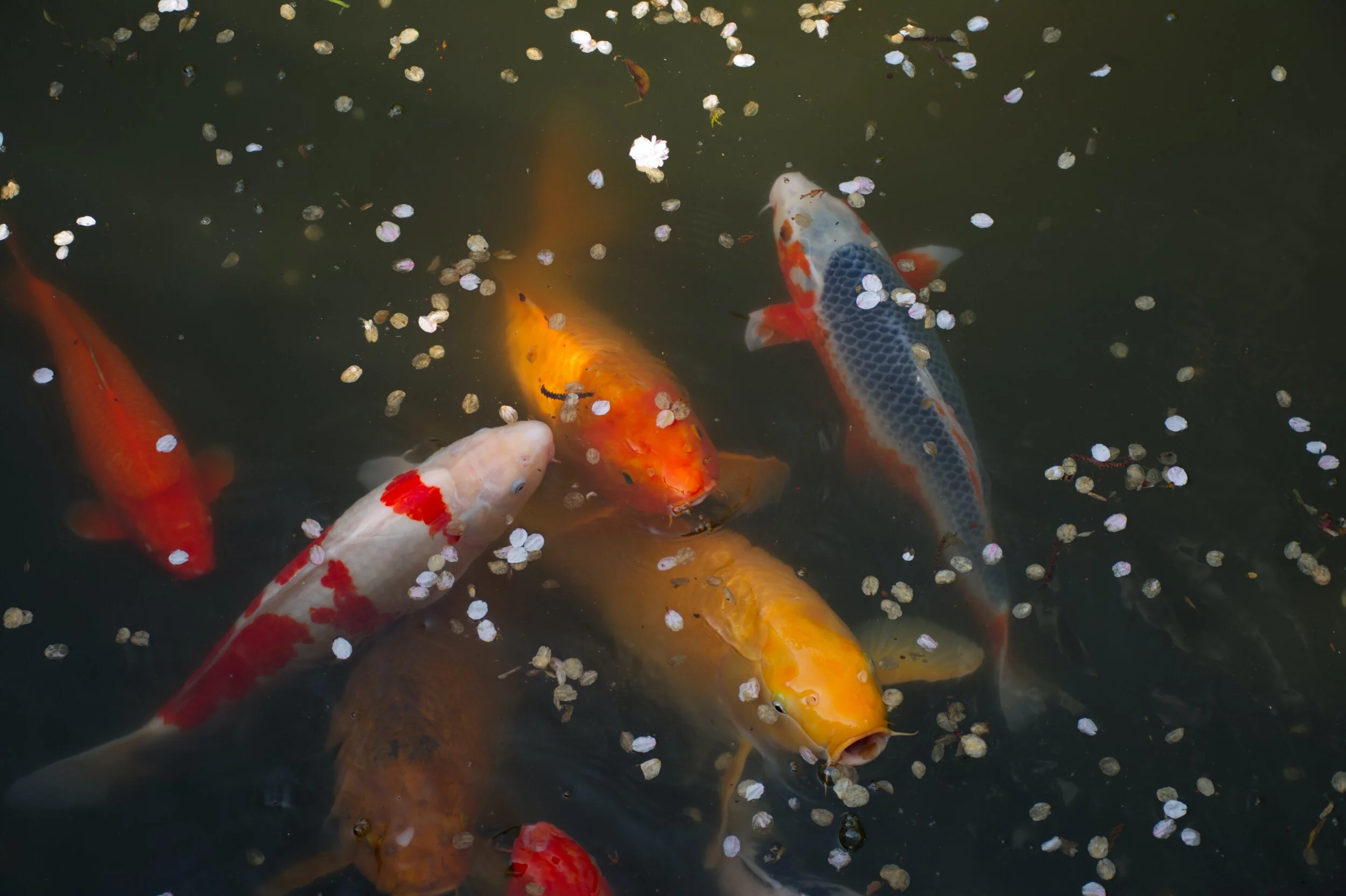 Photo by Joshua Slate on Unsplash
