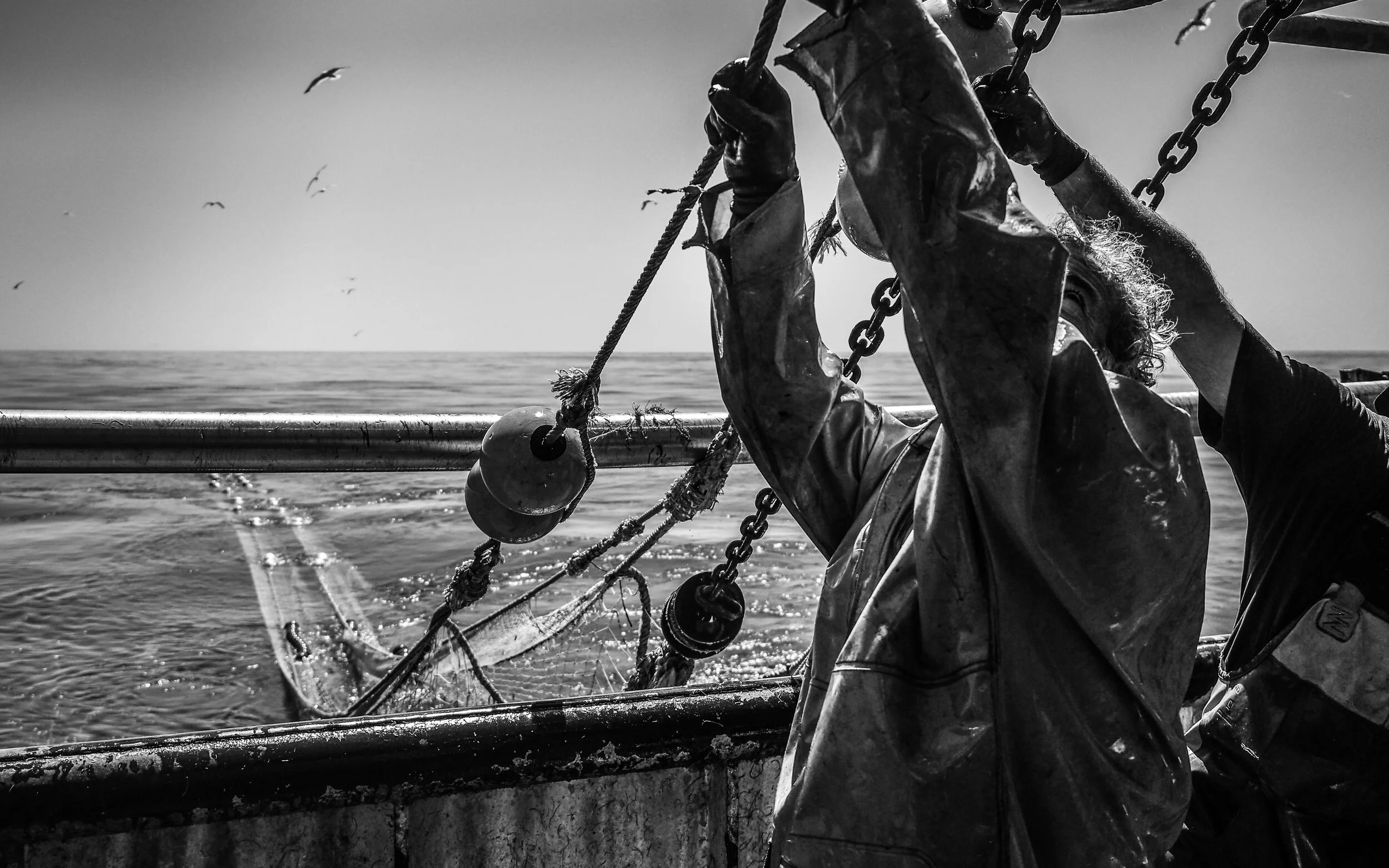 France, 2018. Workers aboard a trawler reel in nets loaded with target fish and bycatch after a few hours of fishing in the French Mediterranean Sea. (Selene Magnolia,/ CIWF)