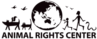 logo1.png