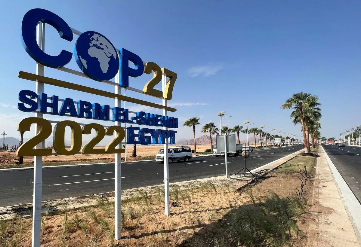 COP27: Climate Change and Aquatic Animal Welfare - What is the Connection?