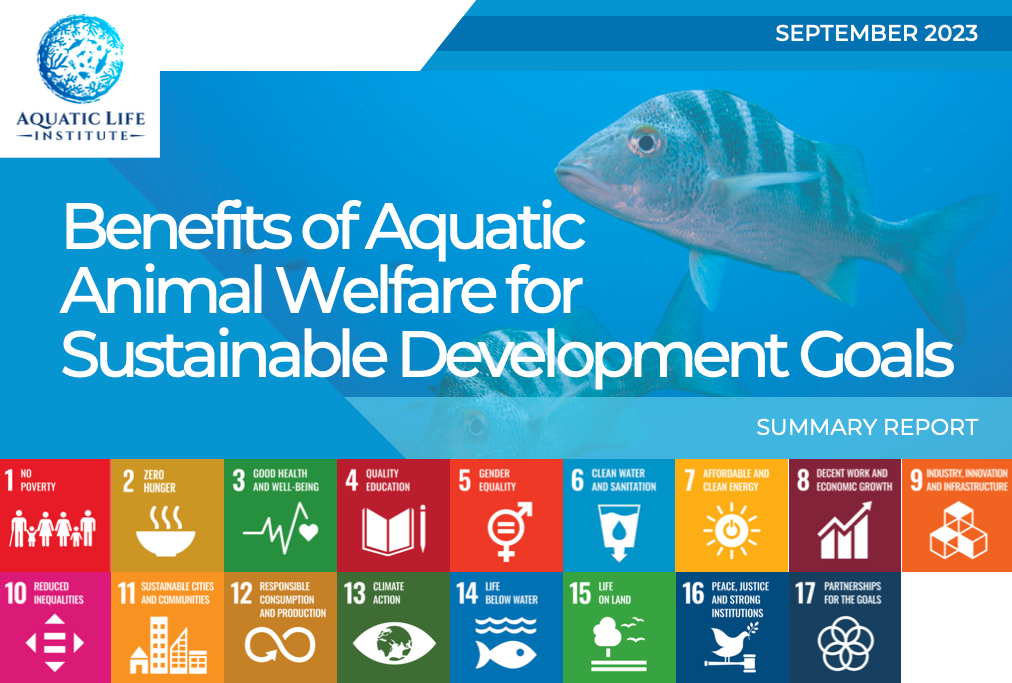 New Report: Benefits of Aquatic Animal Welfare for Sustainable Development Goals (SDGs)