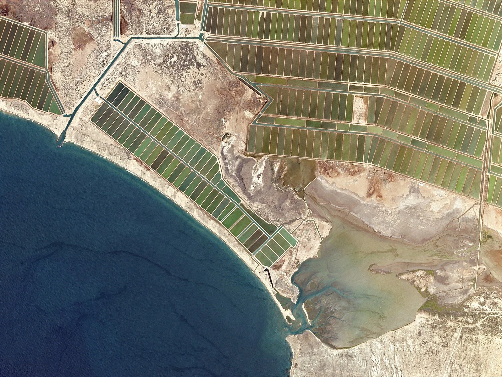 Shrimp Ponds, Mexico by Planet Labs