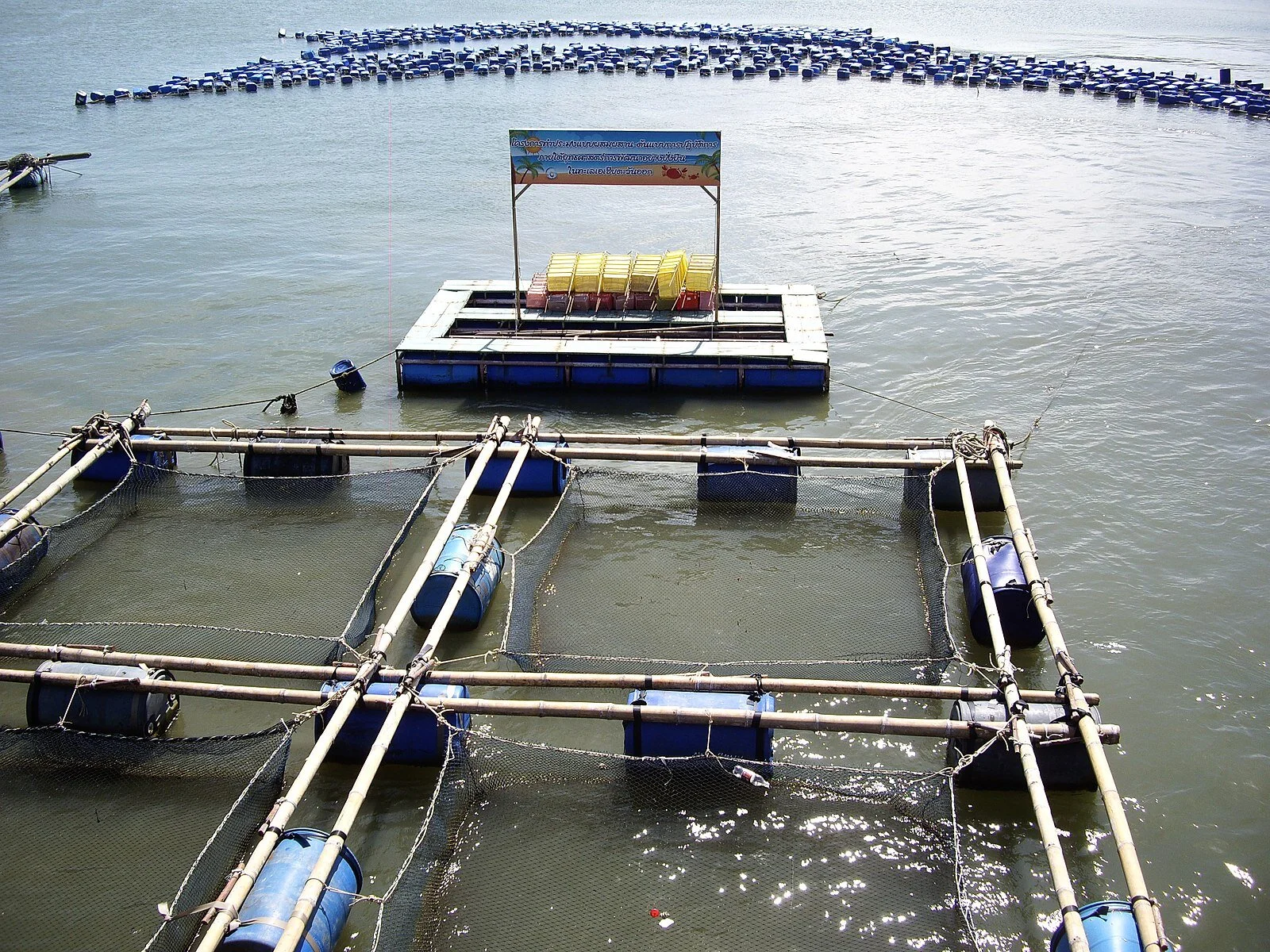 Shrimp Farms, Panoramio