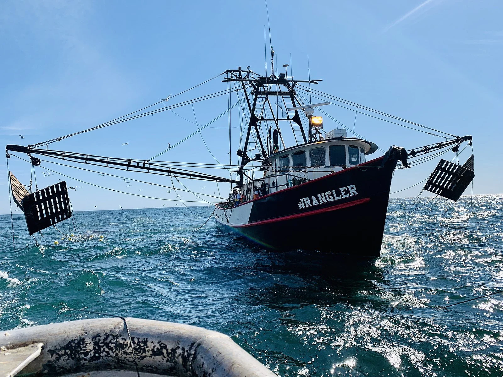 West Coast Shrimp Trawler Wrangler