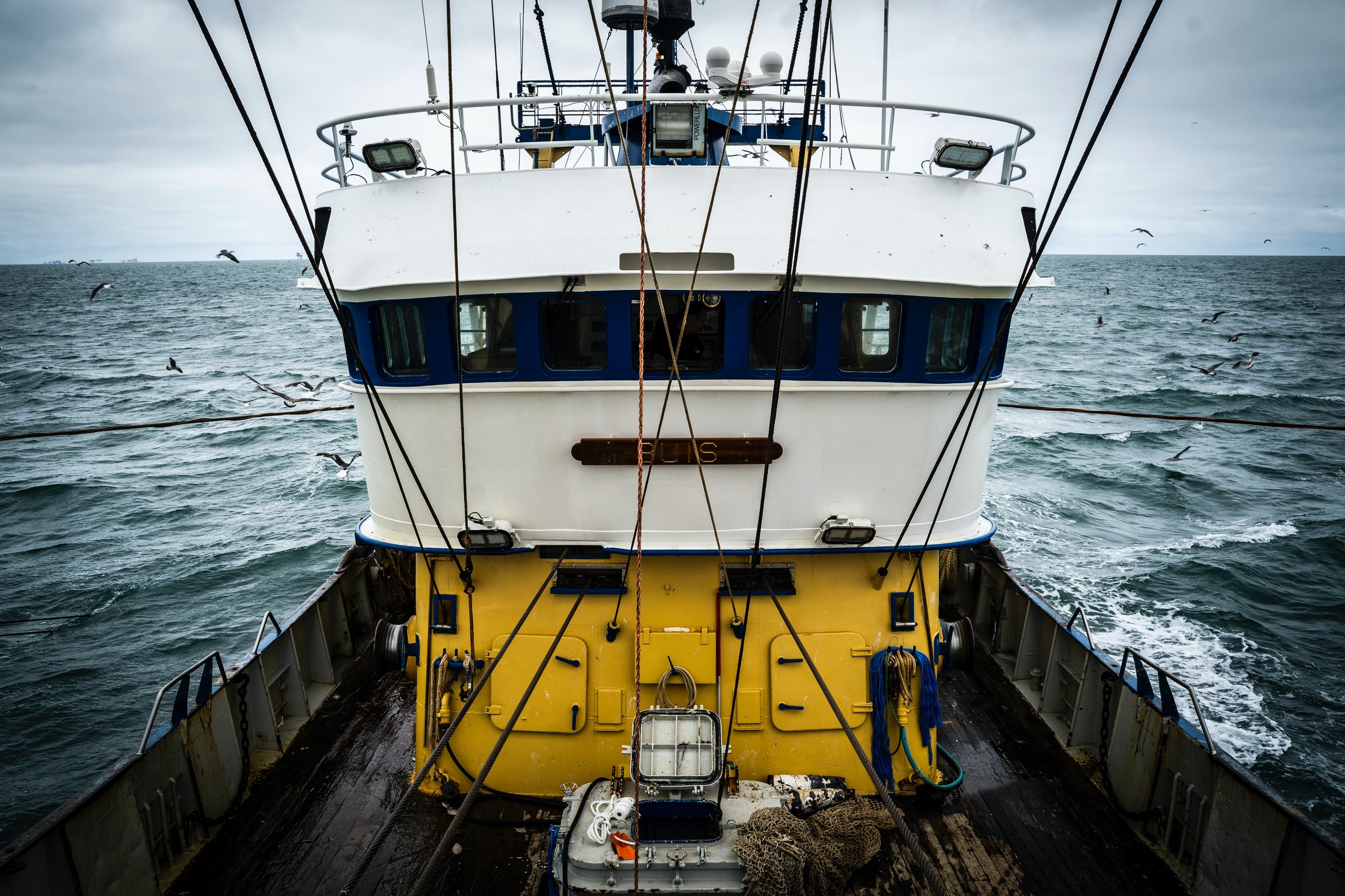 Reimagining Sustainable Fisheries