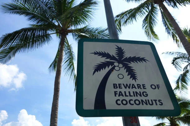 falling coconuts.jpeg