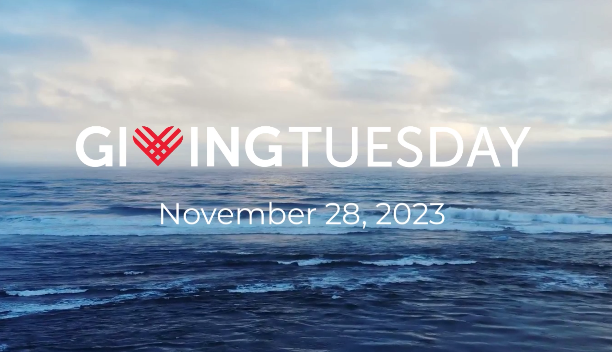 Support Aquatic Animals this Giving Tuesday