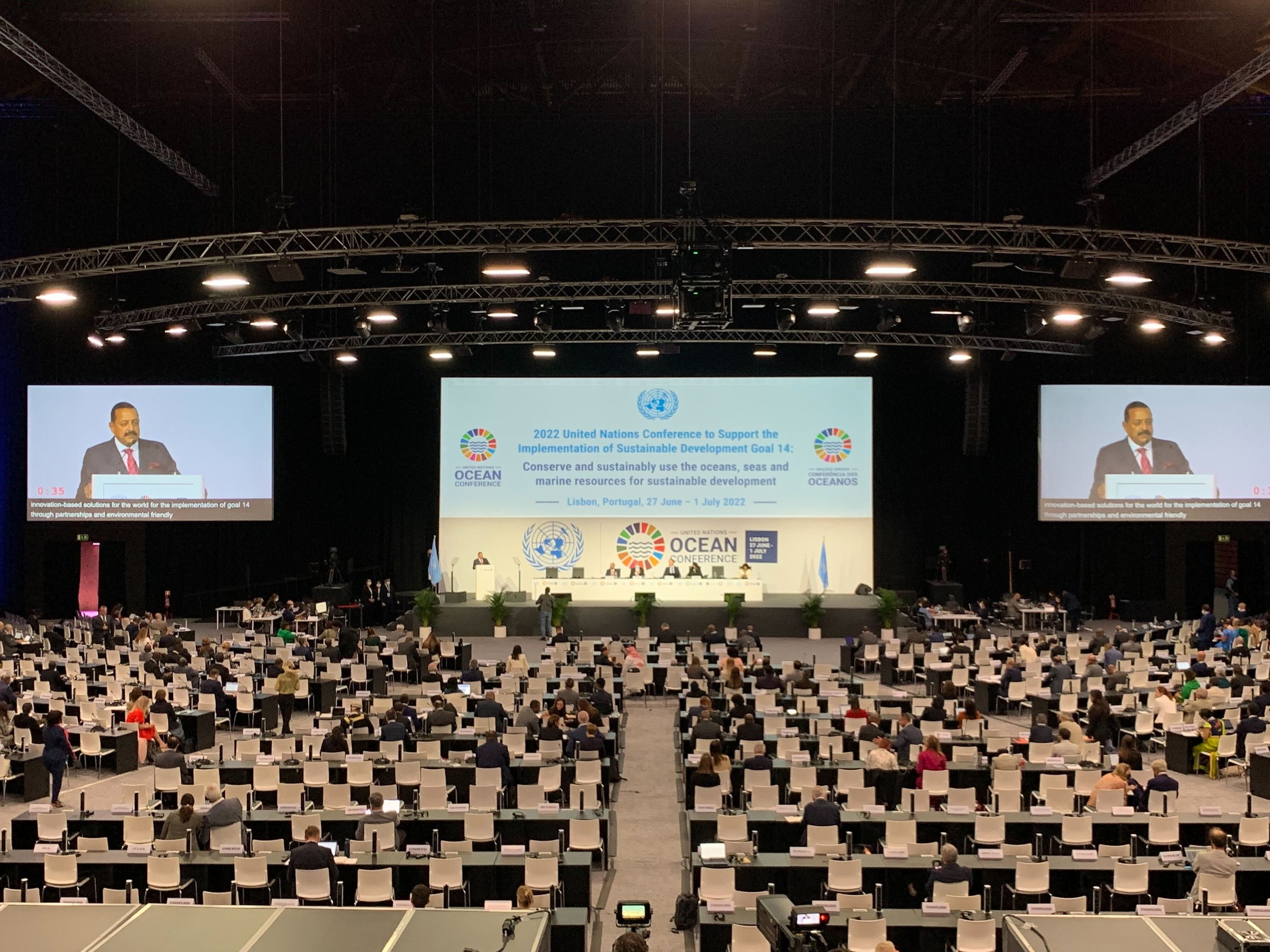 2022 UN Ocean Conference Left Out Key Stakeholder; Aquatic Animals