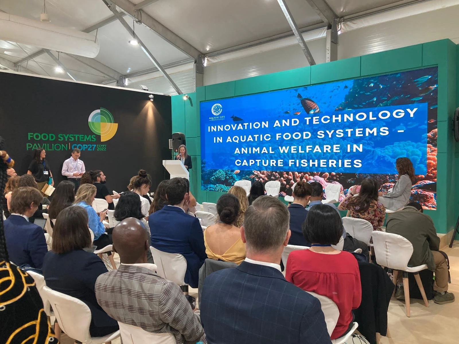 What Happened at COP27 for Aquatic Animals?