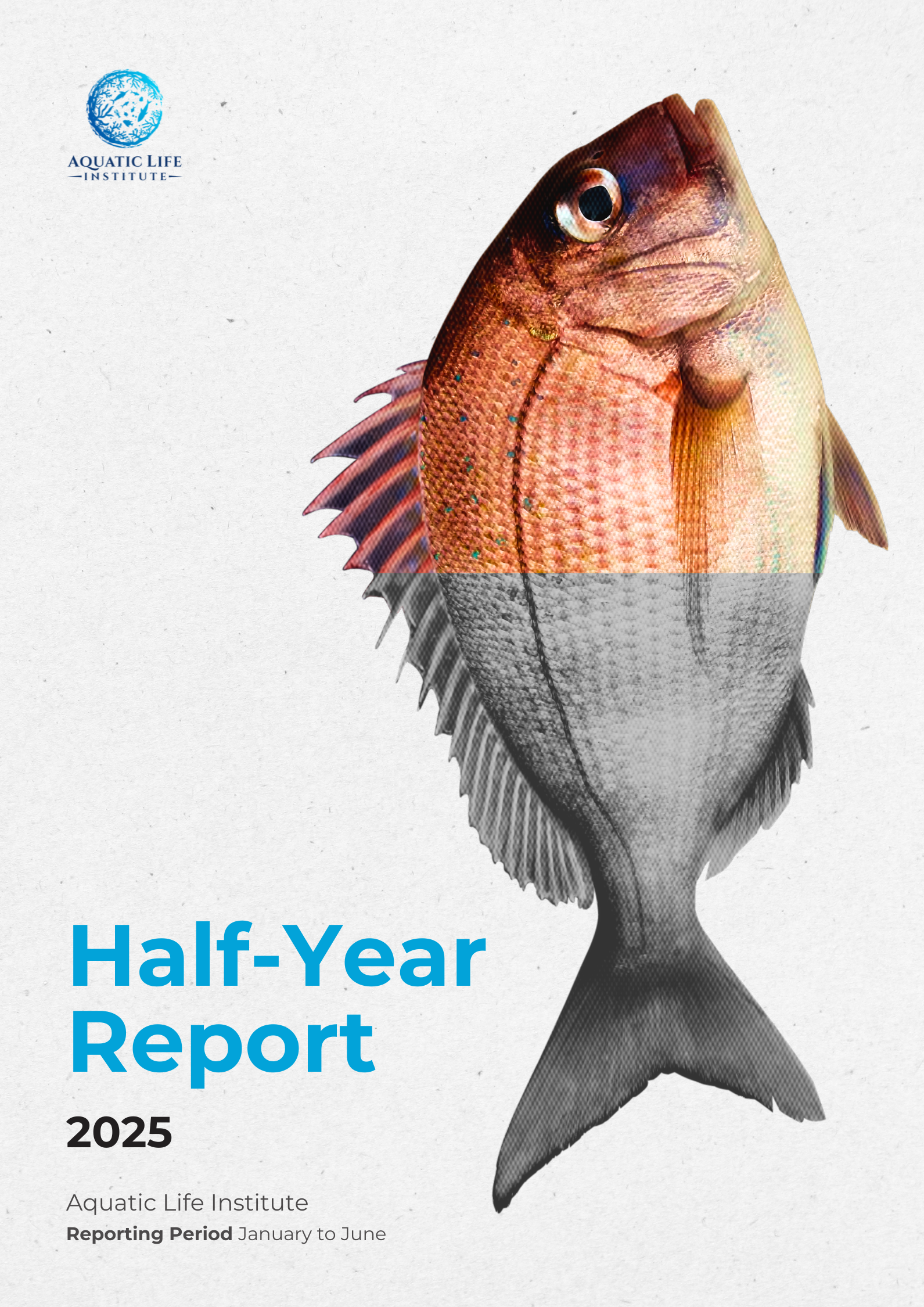 2025 Half-Year Report