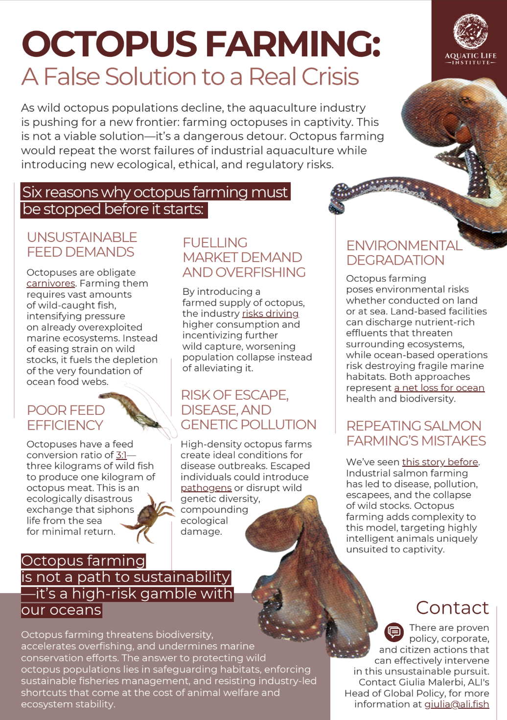 Octopus Farming: A False Solution to a Real Crisis