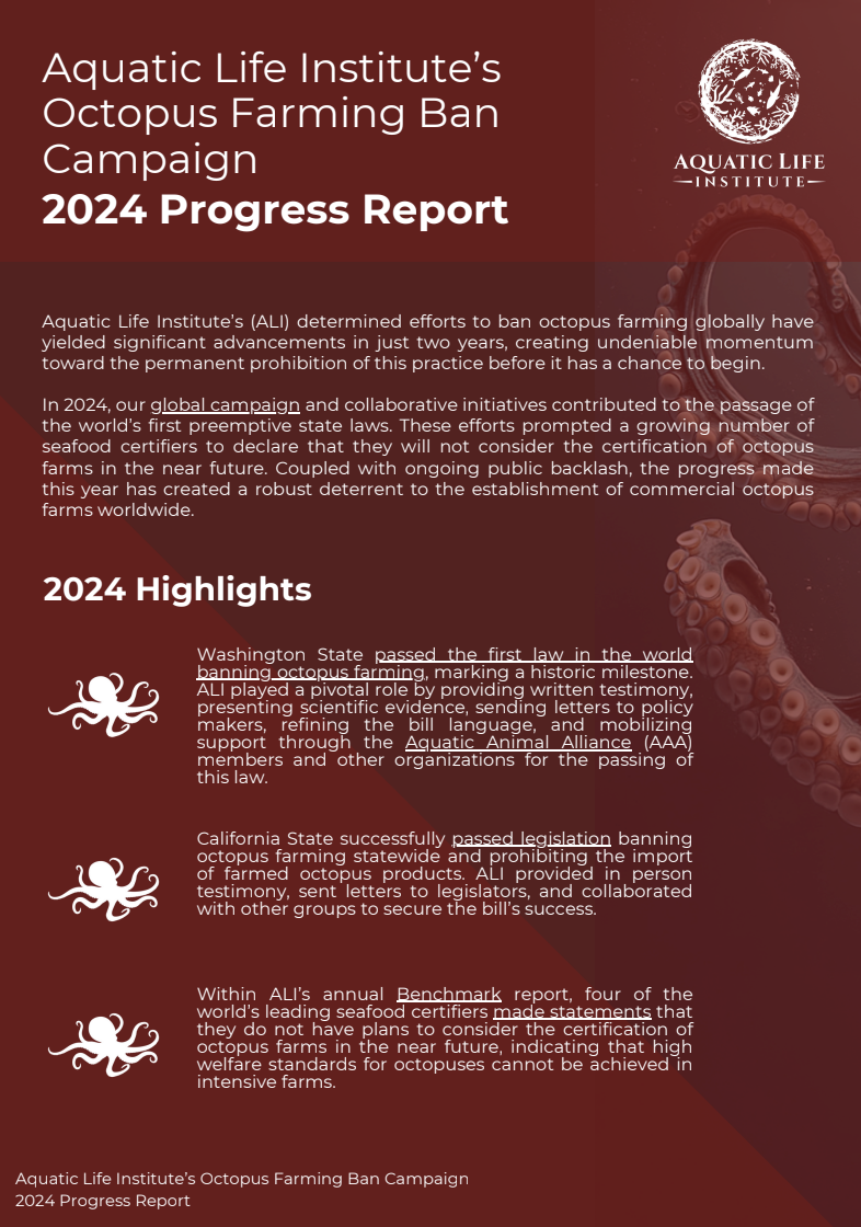 Aquatic Life Institute’s Octopus Farming Ban Campaign: 2024 Progress Report