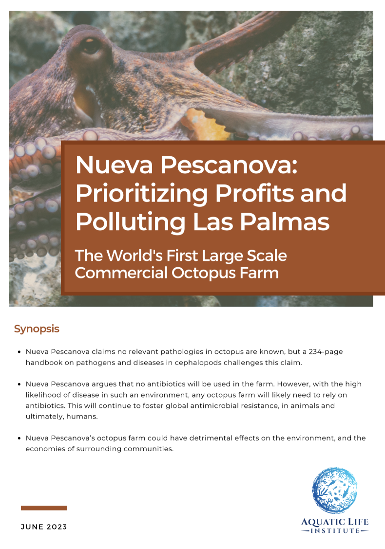 Nueva Pescanova: Prioritizing Profits and Polluting Las Palmas - The World's First Large Scale Commercial Octopus Farm