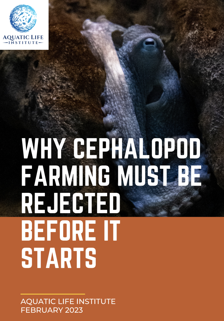 Why Cephalopod Farming Must be Rejected Before it Starts