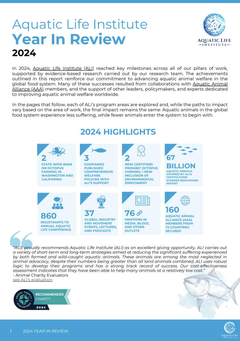2024 Year in Review Report
