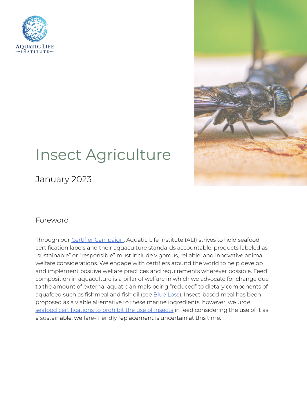 Insect Agriculture