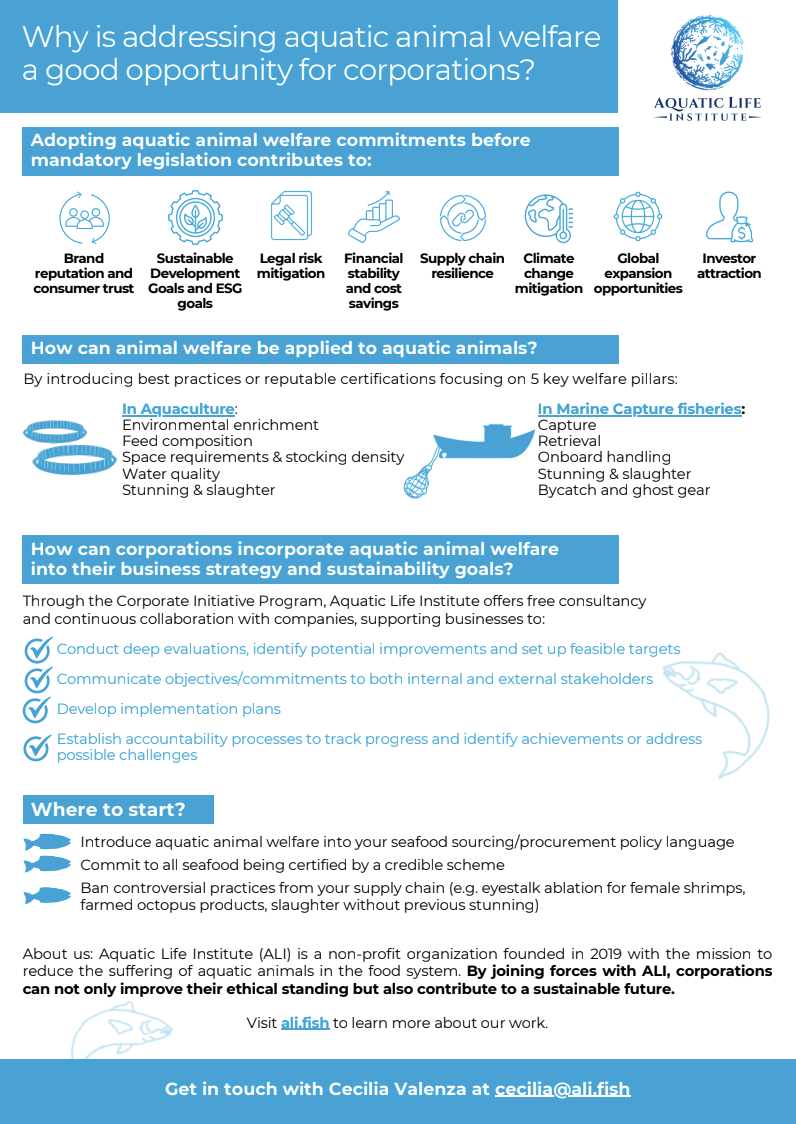 Corporate sector brief: Why is addressing aquatic animal welfare a good opportunity for corporations?