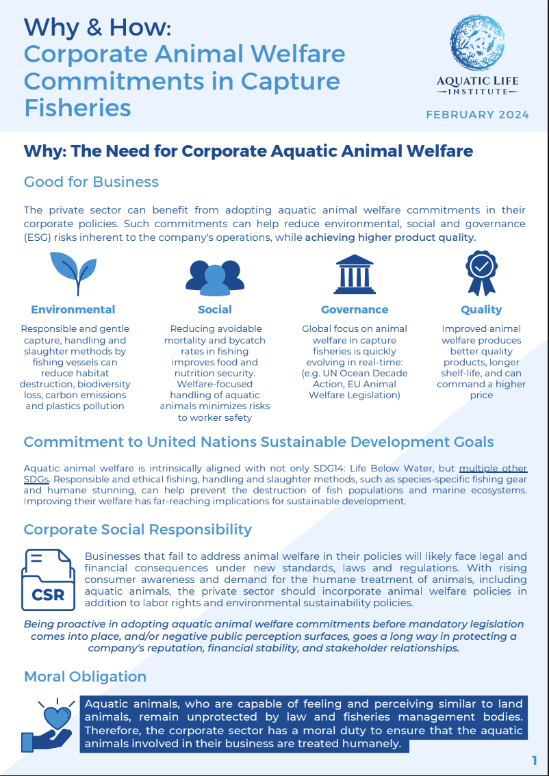 Corporate sector brief: Why &amp; How: Corporate Animal Welfare Commitments in Capture Fisheries